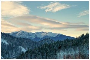 DSC_0084_4